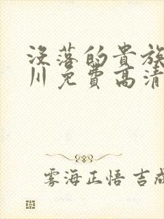 没落的贵族琉璃川免费高清全集