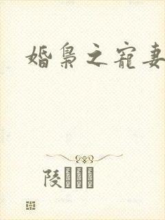 婚枭之宠妻霸爱