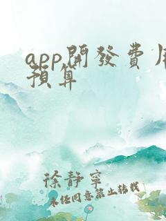app开发费用预算