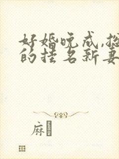 好婚晚成,总裁的挂名新妻