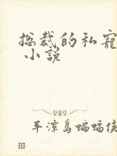 总裁的私宠甜妻 小说
