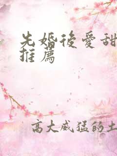 先婚后爱甜宠文推荐