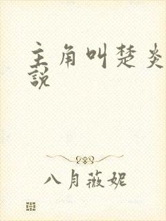 主角叫楚炎的小说