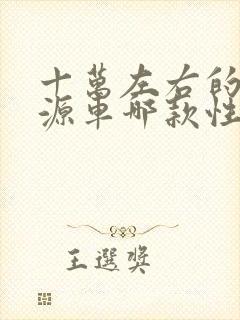 十万左右的新能源车哪款性价比高