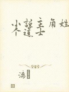 小说主角姓叶是个道士