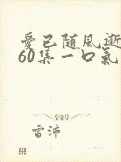 爱已随风逝短剧60集一口气看完