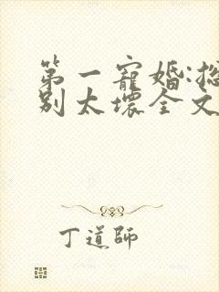 第一宠婚:总裁别太坏全文阅读