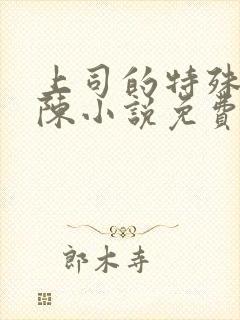上司的特殊爱好陈小说免费阅读