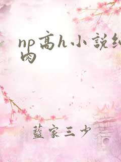 np高h小说纯肉