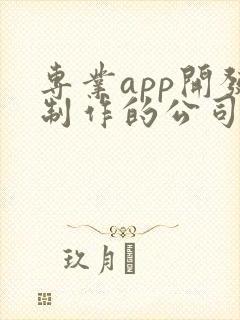 专业app开发制作的公司