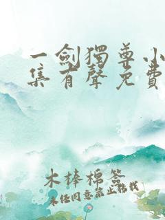 一剑独尊小说全集有声免费听