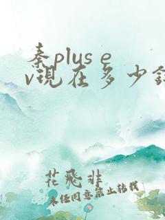 秦plus ev现在多少钱