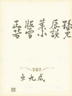 正版叶辰孙怡夏若雪小说免费阅读