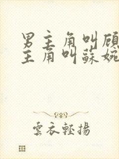 男主角叫顾辞女主角叫苏婉清的小说