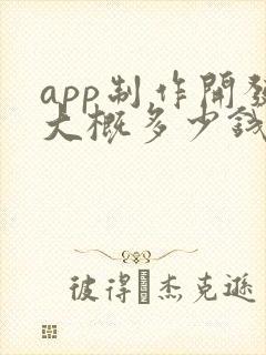app制作开发大概多少钱