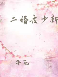 二婚夜少新妻