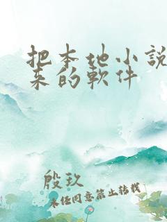 把本地小说读出来的软件