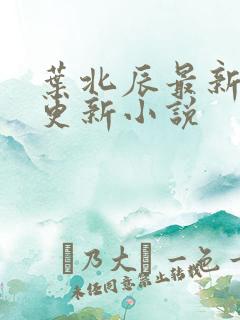 叶北辰最新章节更新小说 叶北辰最新章节更新小说