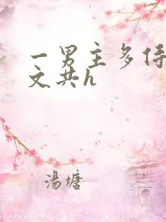 一男主多侍妾辣文共h