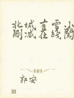 北城有雪小说无删减在线阅读