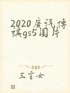 2020广汽传祺gs5图片