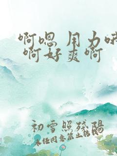 啊嗯 用力哦啊 啊好爽啊