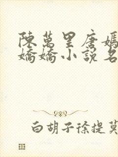 陈万里唐嫣然宋娇娇小说名