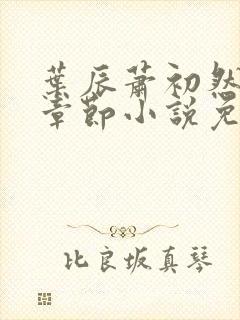 叶辰萧初然最新章节小说免费阅读