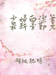 少妇白洁笔趣阁最新章节免费
