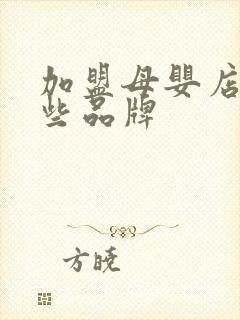 加盟母婴店有哪些品牌