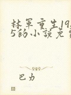 林军重生1985的小说免费阅读全文