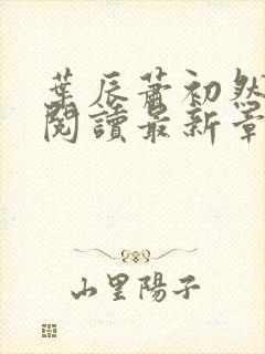 叶辰萧初然免费阅读最新章节无弹窗