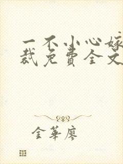 一不小心嫁了总裁免费全文阅读 一不小心嫁了总裁免费全文阅读