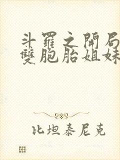 斗罗之开局娶了双胞胎姐妹小说