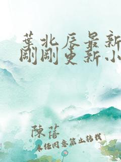 叶北辰最新章节刚刚更新小说全文阅读