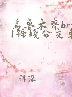 乌鲁木齐brt1号线公交车路线图
