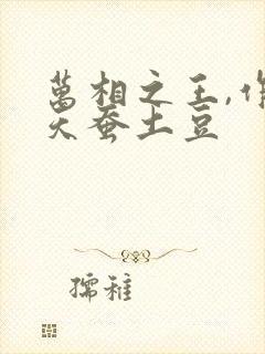 万相之王,作者天蚕土豆