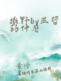 撒野by巫哲讲的什么