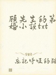 顾先生的第一宠婚小说txt