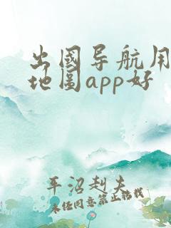 出国导航用哪个地图app好