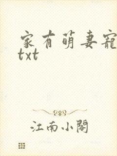 家有萌妻宠上天txt