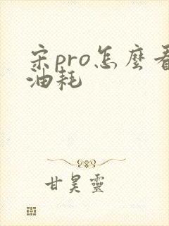 宋pro怎么看油耗