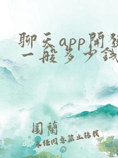 聊天app开发一般多少钱