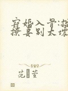 宠婚入骨:总裁撩妻别太坏免费在线阅读