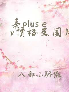 秦plus ev价格及图片