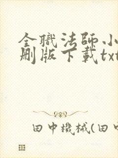 全职法师小说未删版下载txt