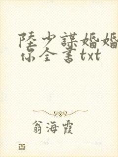 陆少谋婚婚不由你全书txt