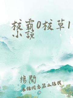 校霸0校草1的小说
