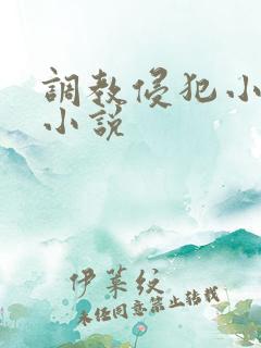 调教侵犯小男生小说