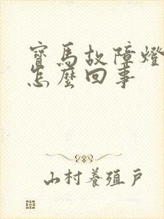 宝马故障灯亮了怎么回事